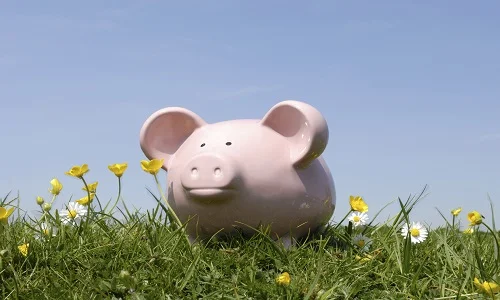 Money Investment Schemes